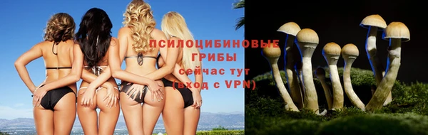 эйфоретик Белоозёрский