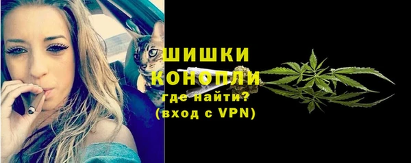 дмт Сосновоборск