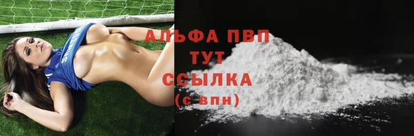 a pvp Белокуриха
