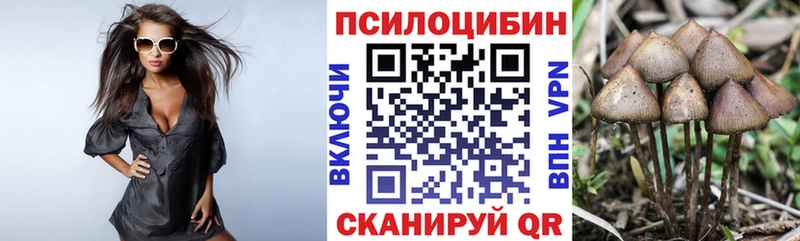 купить наркоту  сайты даркнета клад  Галлюциногенные грибы Psilocybe  Верхний Тагил 